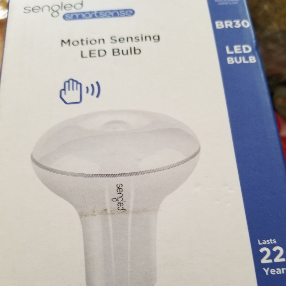 Motion light